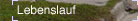 lebenslauf